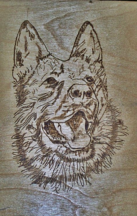 100_9254.jpg
